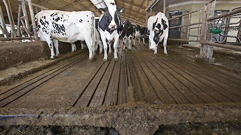 Doelvoorschrift biedt vrijheid, maar brengt boeren ook risico’s