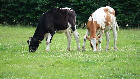 Kruidenrijk grasland van experiment naar expertise