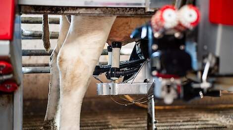Uiergezondheid bij robotmelken: 5 praktische tips