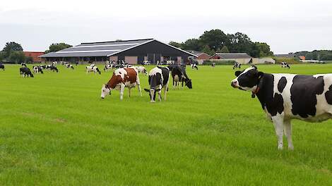 Geld voor vrijwillige krimp doorgeschoven naar de landbouwbegroting van de komende jaren