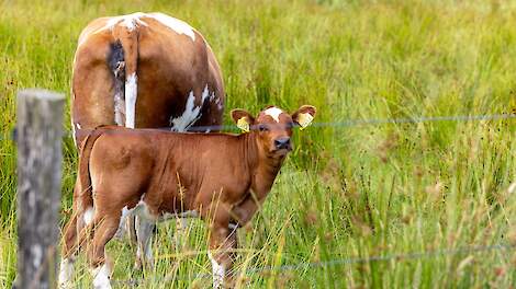 45 boeren ondertekenen tot nu overenkomst natuurinclusieve landbouw