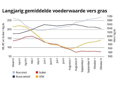 eiwit suiker energie najaarsgras