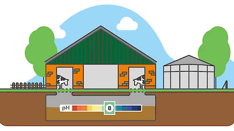 pH-waarde van de mest