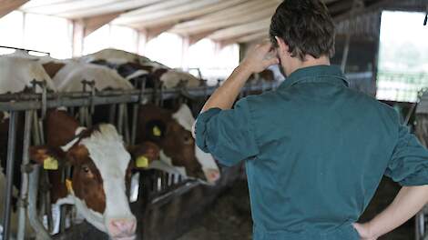 Laatste vangnet voor boeren en hun vee in nood