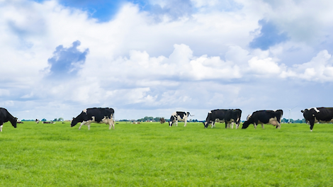 De beste start van de lactatie met Kick Start