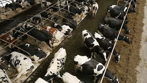 Fosfaatzaak: voordeel van 112 duizend euro, maar rechtbank ziet af van straf melkveehouder