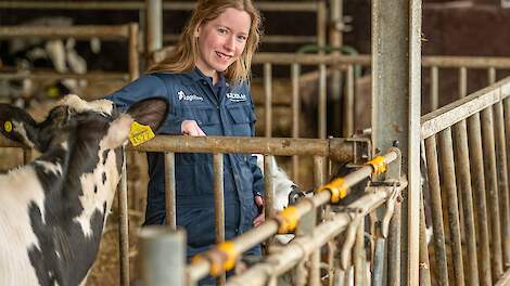 Luchtweggezondheid bij kalveren