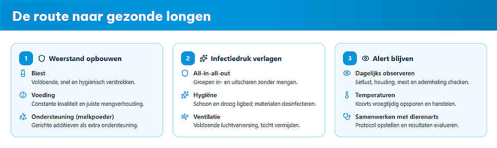 Infographic: route naar gezonde longen