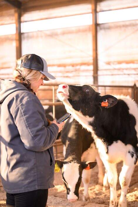 Laura Raatz, Wagner Farms bekijkt jongvee gedragsgrafiek in CowManager
