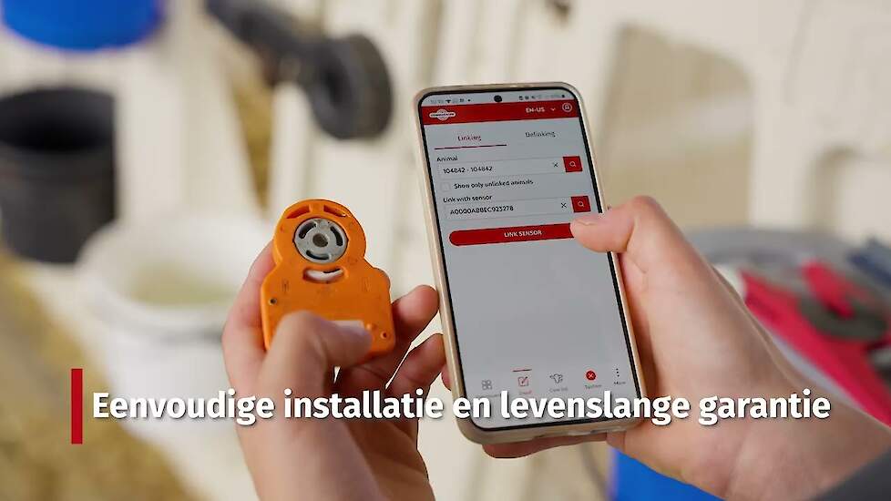 CowManager Jongvee Monitor | Van kalf tot koe | Kalveren gedragsgrafiek