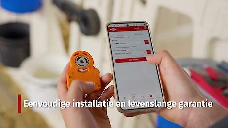 CowManager Jongvee Monitor | Van kalf tot koe | Kalveren gedragsgrafiek