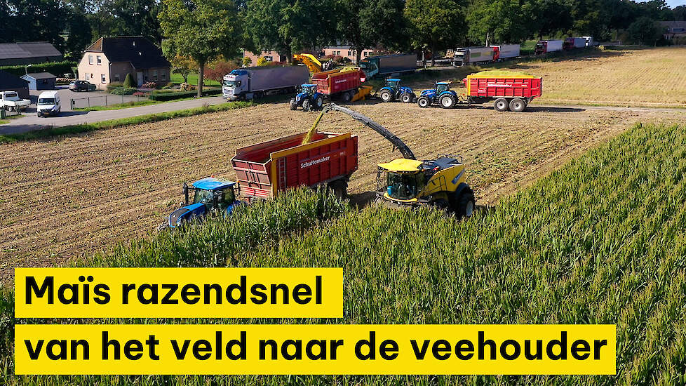 Maïs razendsnel van het veld naar de veehouder