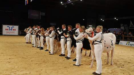 Grote belangstelling voor de HHH-show