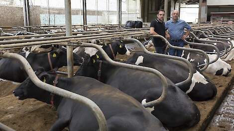 Opvolger Jean Nicolaes gaat toekomst optimistisch tegemoet: “Meer richten op kwaliteit dan op kwantiteit”