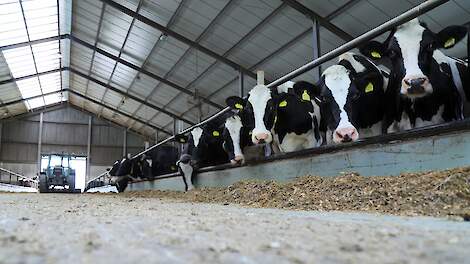 Wiersma: Methaanreducerend voer biedt melkveehouders grote kansen