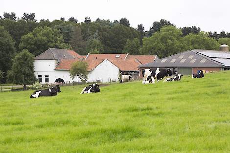 Boerderij Netwerkdeelnemer Jack en Jean Nicolaes - NPB