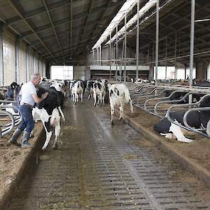 Netwerkdeelnemers Jack en Jean Nicolaes - NPB