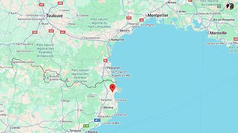 Lumpy Skin Disease op opfokbedrijf Spanje