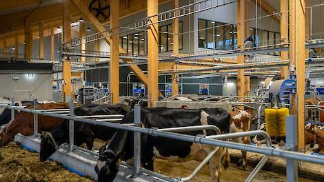 Fotoserie: DeLaval bouwt nieuwe robotstal in het Zweedse Tumba