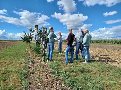 Bij HEMUS en ERF BV waren voorbeelden van agroforestry, strokenteelt en draaibare zonnepanelen te zien.