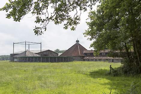 Mestopslag bij Netwerkdeelnemer Leendert van Staalduijnen - NPB