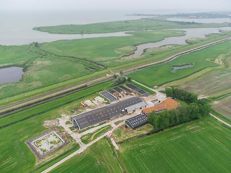 Boerderij van Netwerkdeelnemer Sjoerd Reitsma - NPB