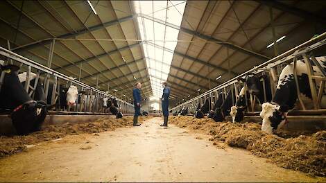 Foqus 5 | Levensduur verlengen