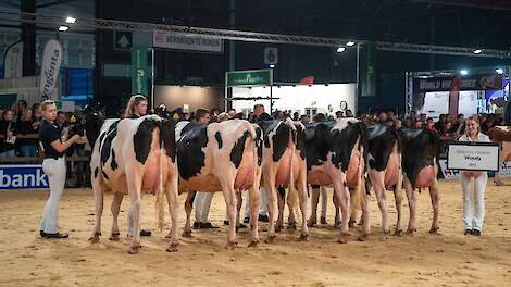 Dochtergroepen HHH tonen moderne fokkerij: balans, duurzaamheid en gebruiksgemak