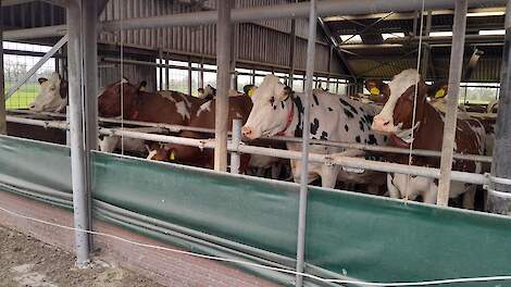 Omschakelen met hulp van het IDL: praktisch én duurzaam