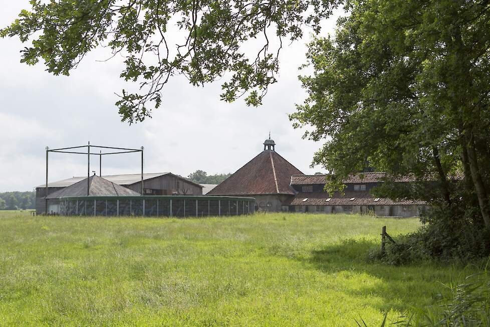 Mestopslag Netwerkdeelnemer Leendert van Staalduijnen - NPB