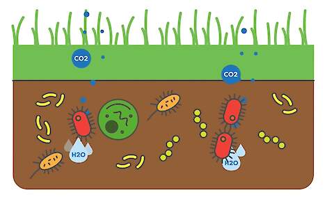 Methaan oxideren tot C02 en water door bacteriën - NPB