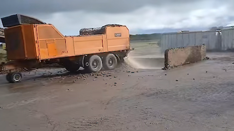 Versnipperde aardappelen en witlofpennen als mengsel interessant alternatief voor het afdekken van mais- en graskuil
