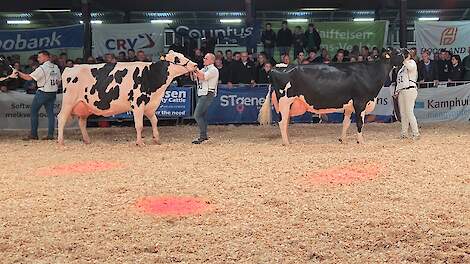 Fotoserie: Kampioene TASS gaf al 134.000 kg melk