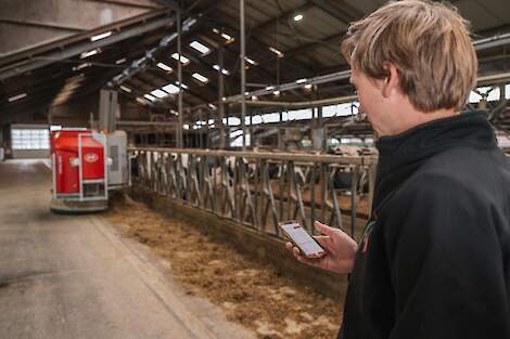 Man met telefoon in hand staat in de stal en kijkt naar de Lely Vector automatisch voersysteem