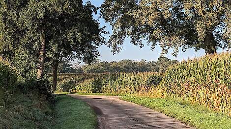 Bedrijfsopvolger moet pas op de plaats maken en kan boerderij nog niet overnemen
