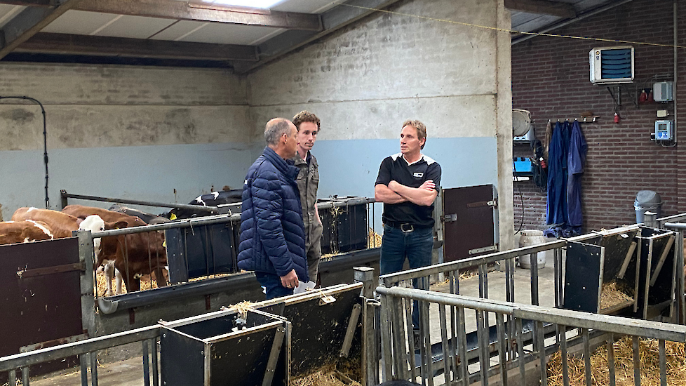 De Kalf Robust wordt onbeperkt aangeboden