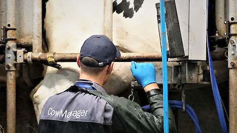 Mastitis herkennen en melkverlies voorkomen