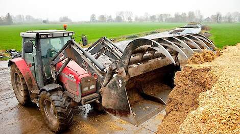 Goed melken in de zomer van 2026 begint nu