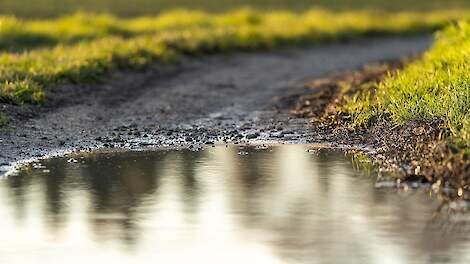 Rijk met water: verhalen over de potentie van kringlopen