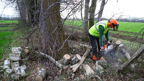 Friese melkveehouder krijgt deel van gekorte GLB-subsidie terug