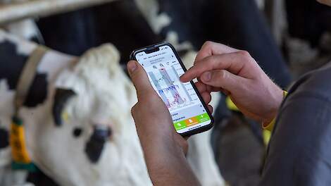 Betere gezondheid koeien bij melkveehouders die vaker controleren