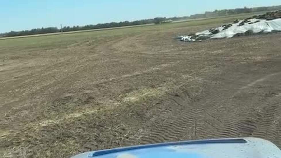 Minke heeft Penta gelost bij de maisbult, kniktrekker rijdt de mais aan, Minke geeft gas