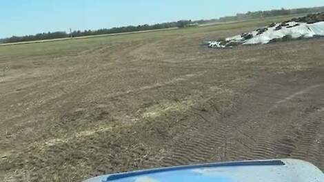 Minke heeft Penta gelost bij de maisbult, kniktrekker rijdt de mais aan, Minke geeft gas