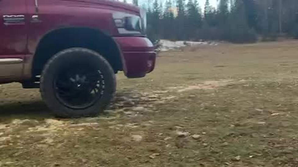 Kamperen in 'bear country'