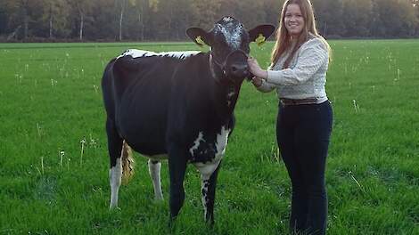 Rian Engelen dagelijks met haar pink Roelina in de weer ter voorbereiding op de HHH-show