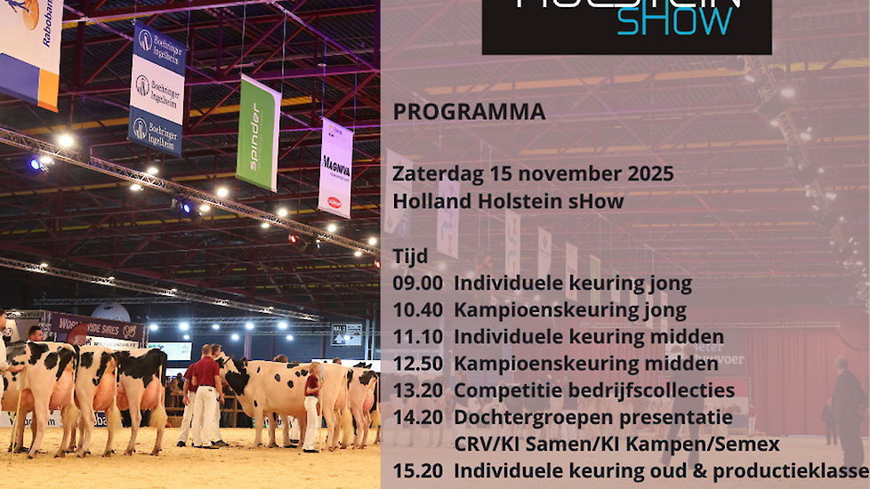 Het programma van zaterdag 15 november.