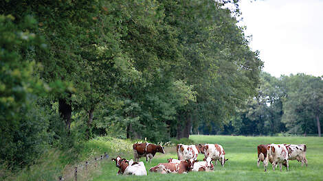 Regeneratief boeren kan zonder inkomensverlies
