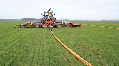 Ligging gras- en maïsperceel bepaalt straks stikstofruimte