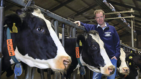 ‘Uitdaging is om moeilijke koe weer drachtig te krijgen’