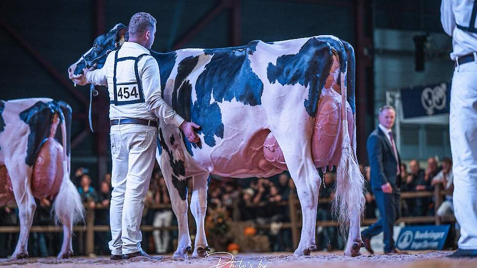 Heerenbrink Angelina pakt weer algemeen kampioenschap zwartbont HHH